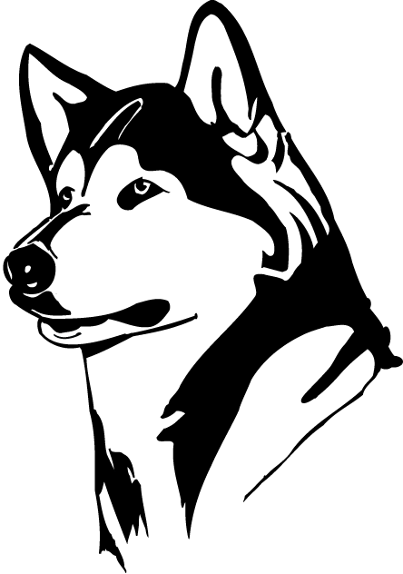 Washington Huskies 1995-2000 Partial Logo iron on transfers for T-shirts